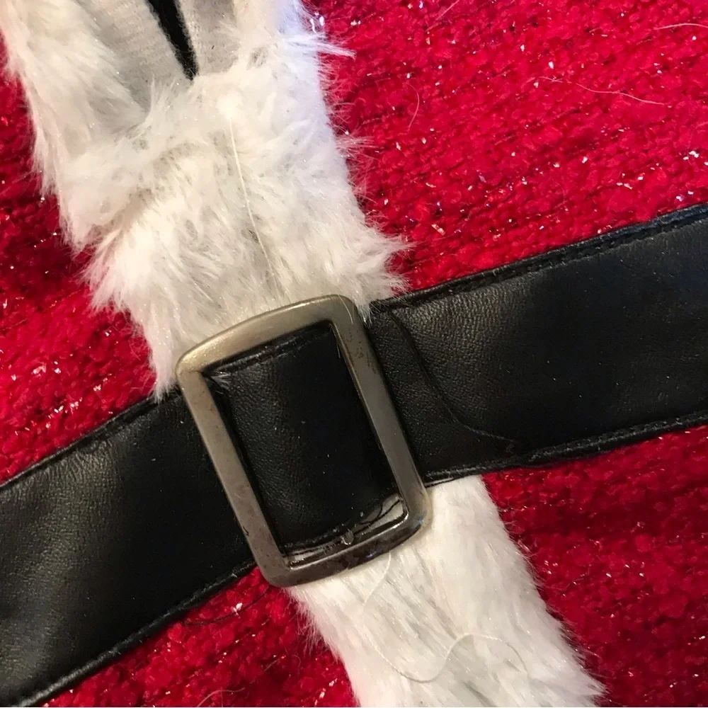 First Class Fido 🐾santa pet